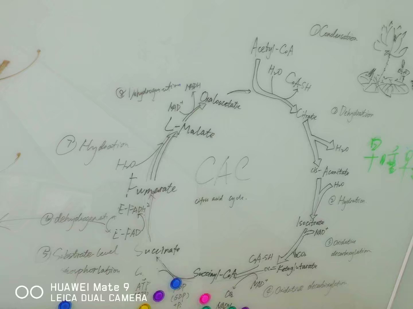 20170413图书馆一角03